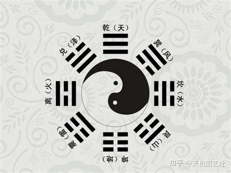 爻意思|爻（组成卦符的基本符号）